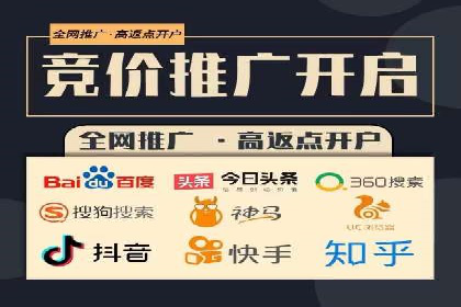 竞价SEM案例分享：行业霸主崛起之路